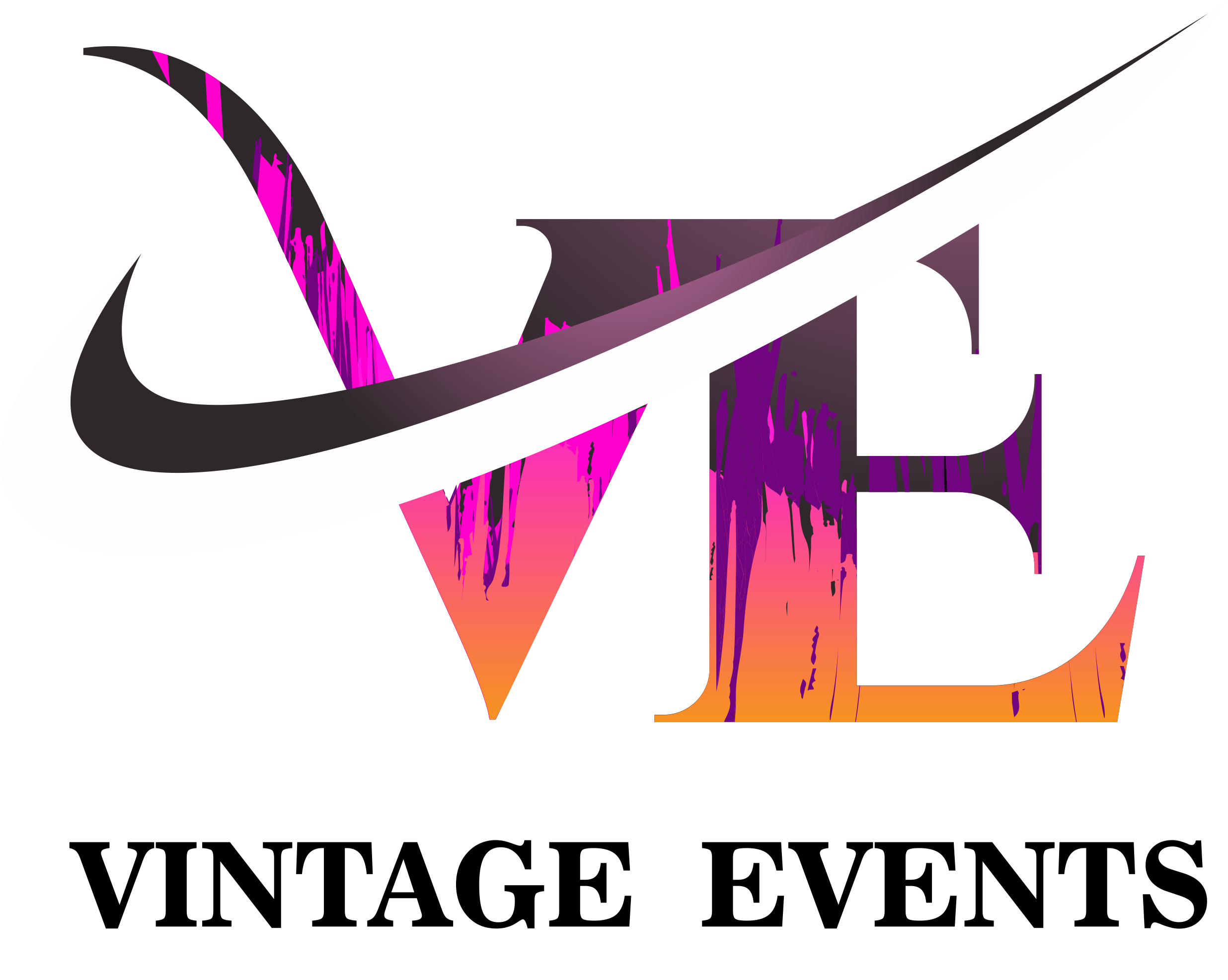 VE Logo